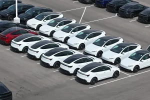 imgi 5 Tesla MYStandard JoeTegtmeyer 01 2