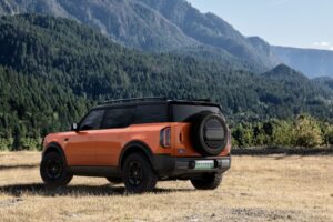 imgi 13 img pic 561752668888 7