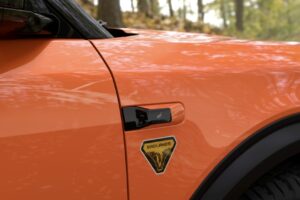 imgi 14 img pic 151752668872 6