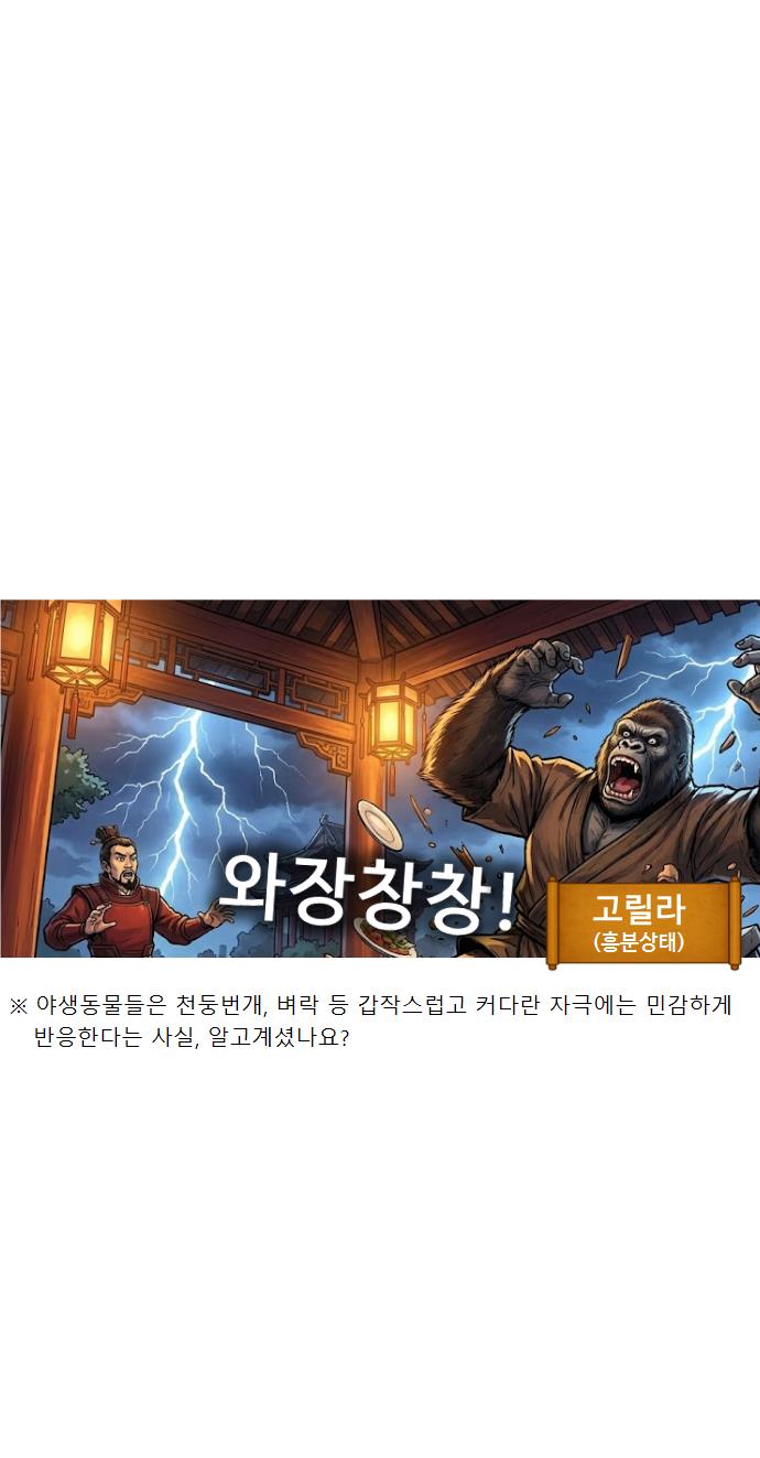 2502167781_hk37uZ5L_bf24b3bb0e1662dade5f5e6c3acfe9f40f12db05.jpg